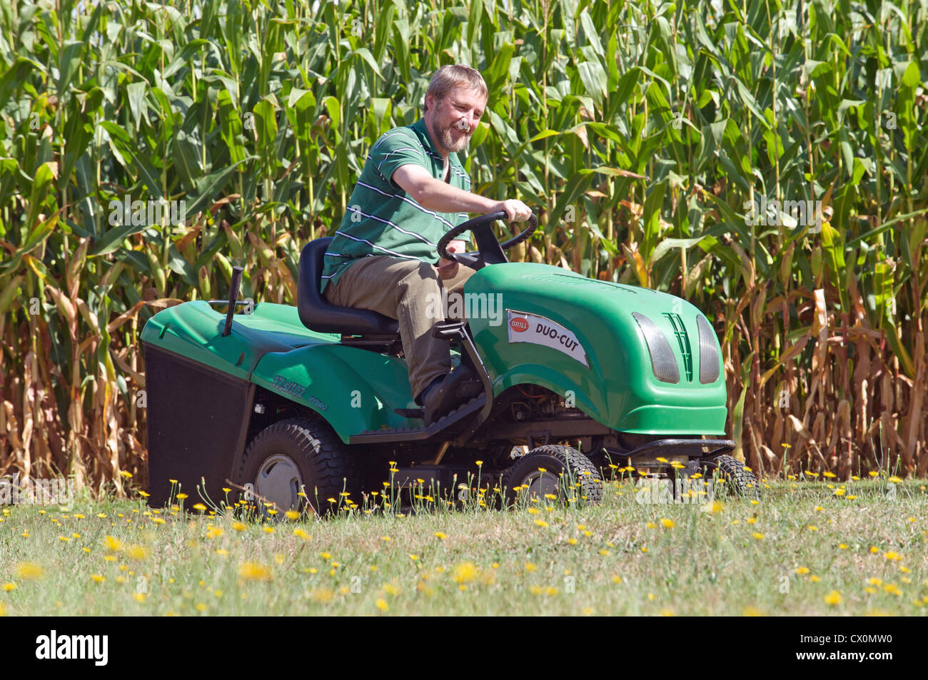 Man cutting lawn with ride-on lawnmower beside maize field Stock Photo