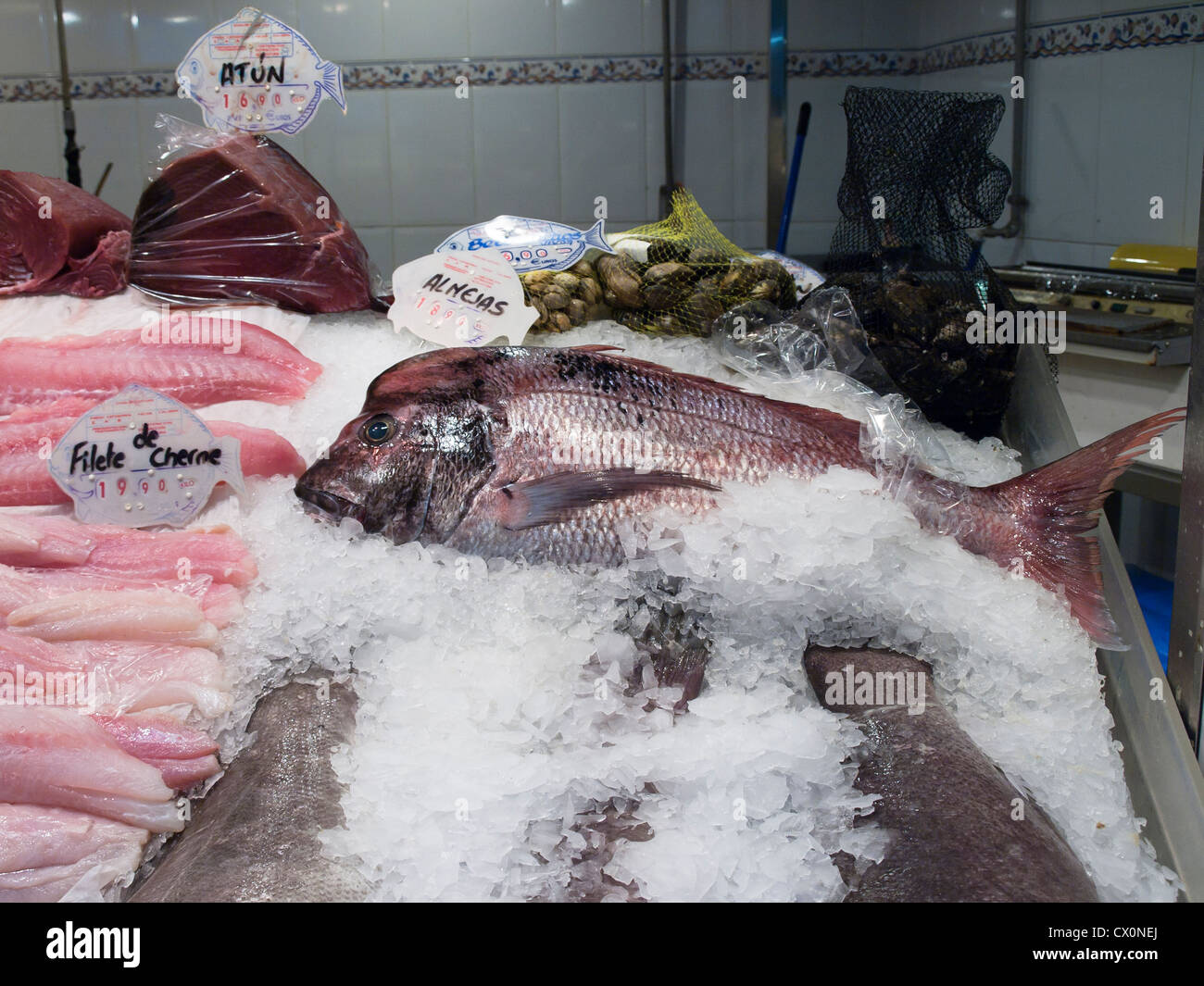 Selection of different fish on sale in the market in Las Palmas Gran Canaria Stock Photo