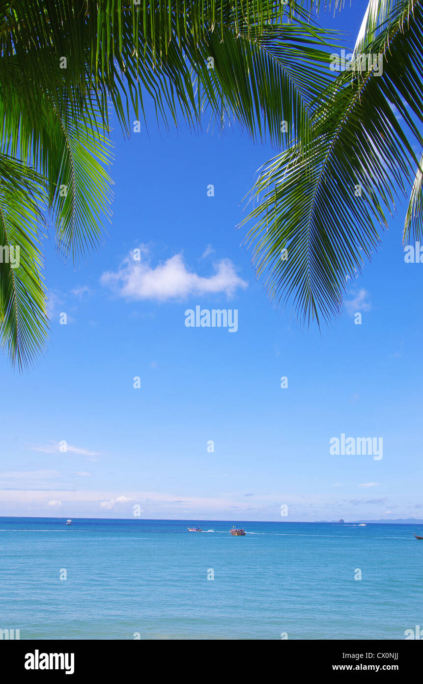 beautiful beach and tropical sea Stock Photo - Alamy