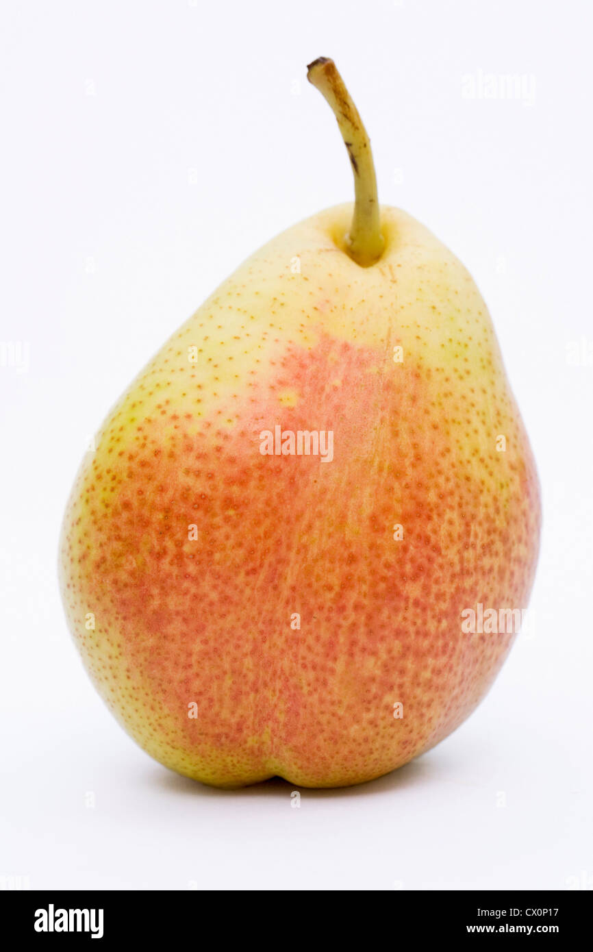 Pyrus 'Forelle'. A single red blush dessert pear on a white background. Stock Photo