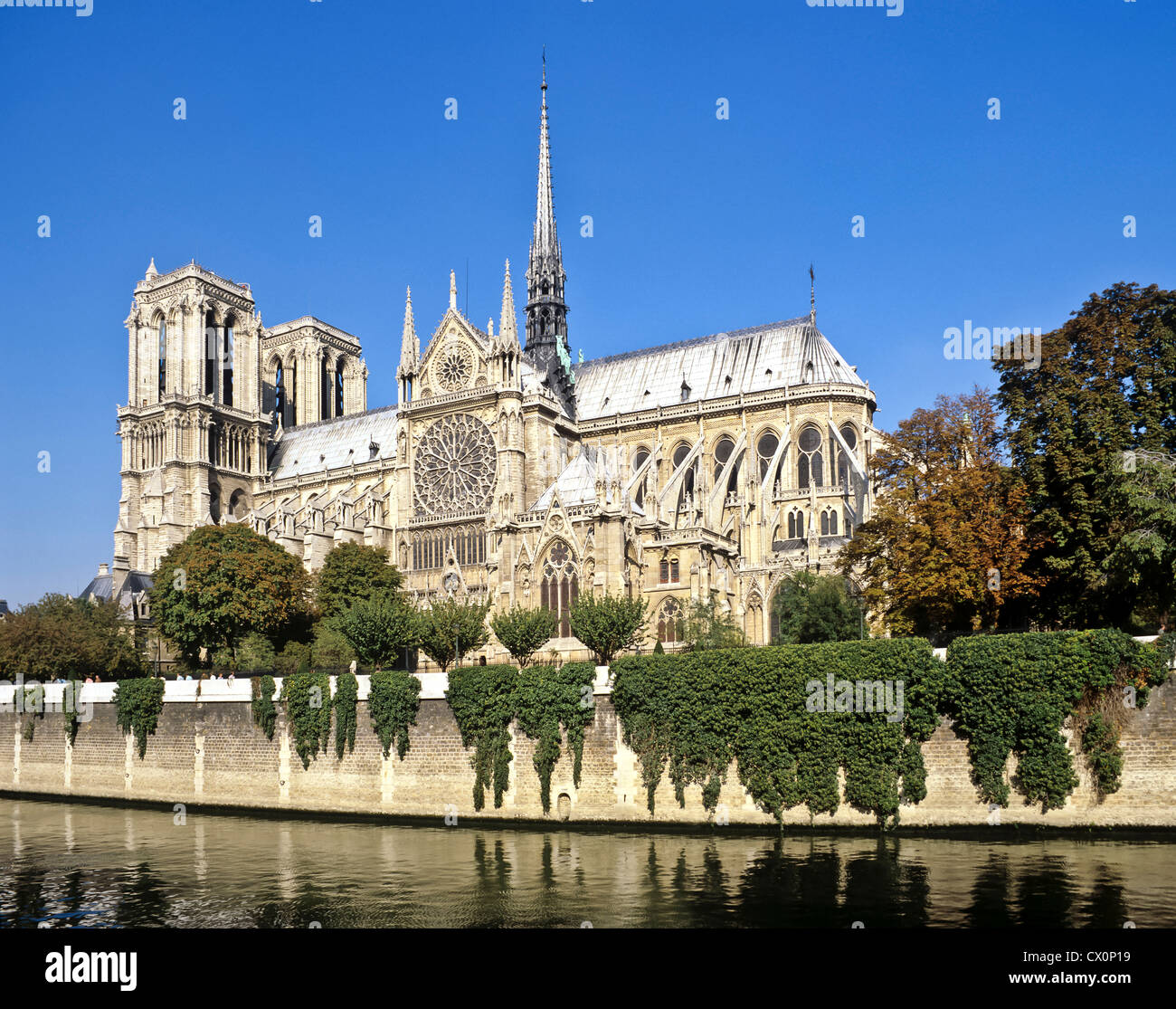8246. Notre Dame & R Seine, Paris, France, Europe Stock Photo