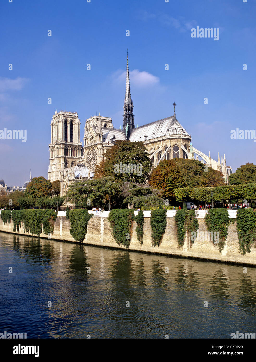 8247. Notre Dame & R Seine, Paris, France, Europe Stock Photo