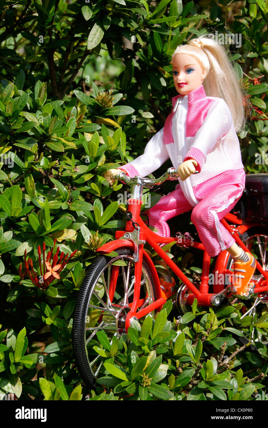 Doll Girl Barbie Riding cycle.Bicycle riding toy Front and side view Stock Photo