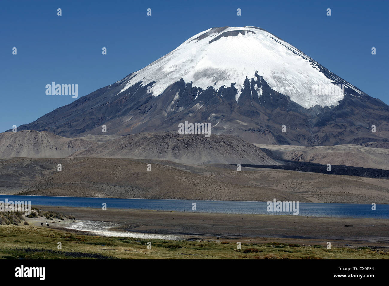 Parinacota volcano and Lake Chungará, Chile Stock Photo