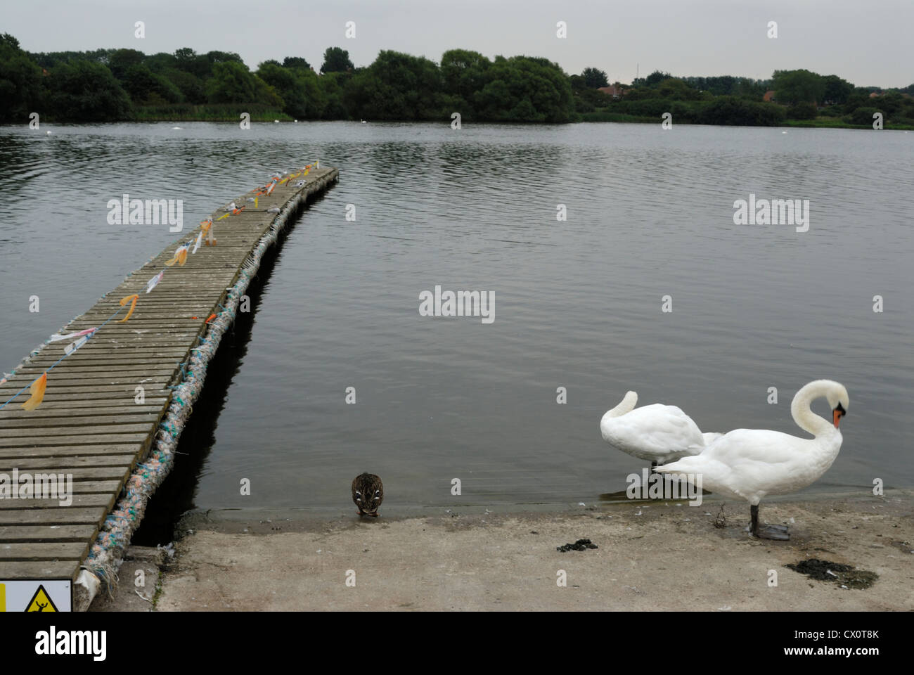 The lake at Hornsea Mere Stock Photo Alamy