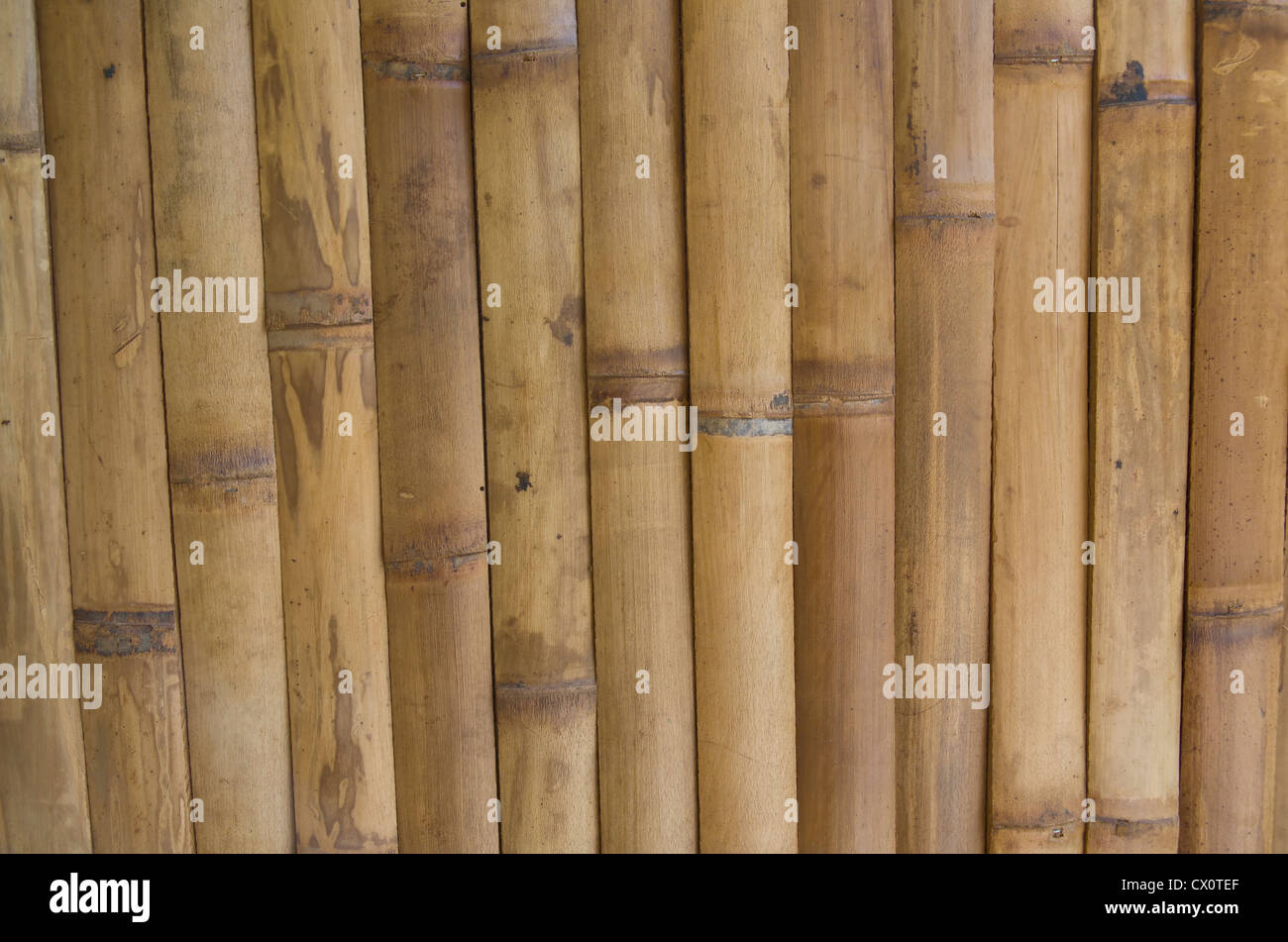 a tan colored bamboo panel fence portion Stock Photo