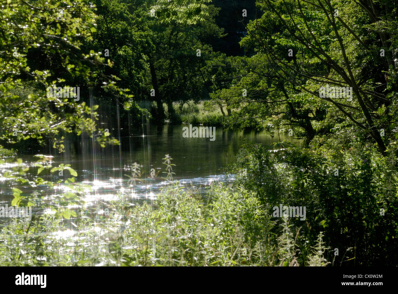 River views in Monsal Dale Valley Stock Photo