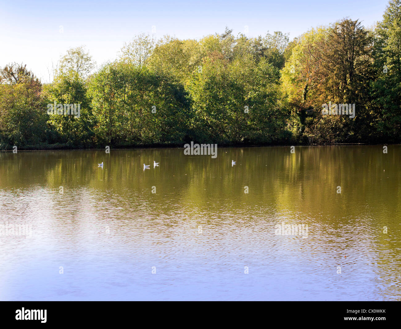 compton verney estate warwickshire Stock Photo Alamy
