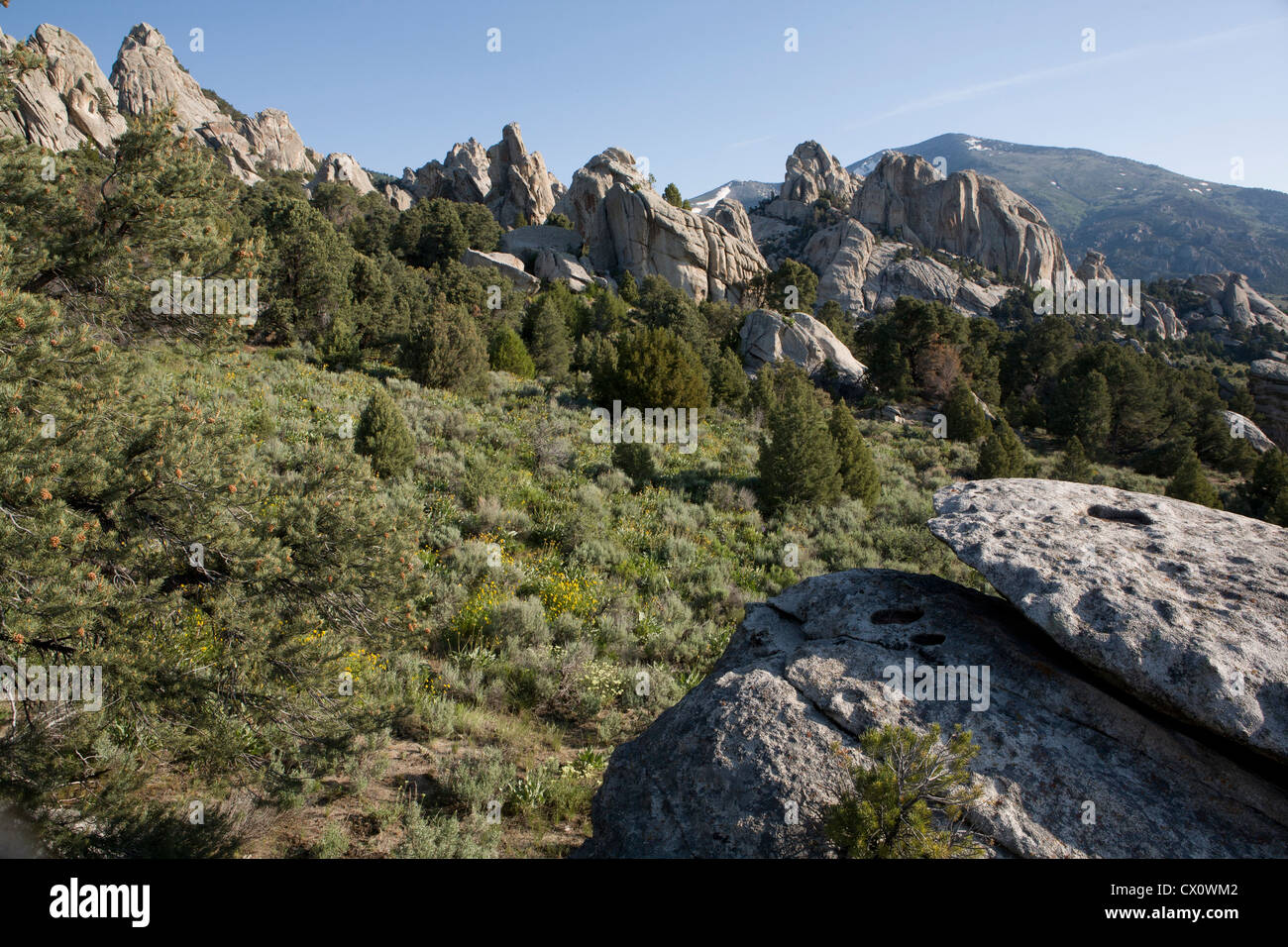 Rocks and spires in Castle Rocks State Park, Almo, ID. Stock Photo