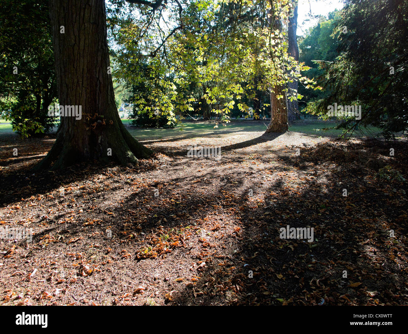 compton verney estate warwickshire Stock Photo Alamy