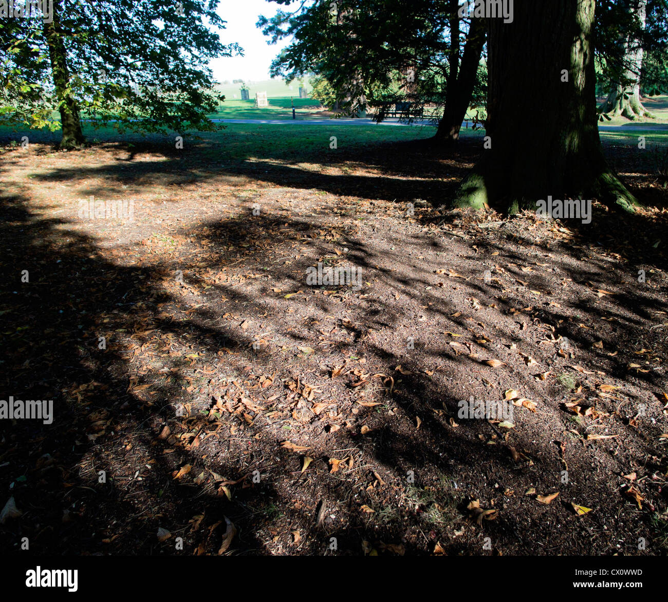 compton verney estate warwickshire Stock Photo Alamy