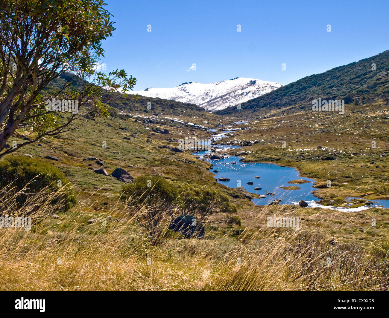 Spencer's Creek, Snowy Mountains, NSW, Australia Stock Photo Alamy