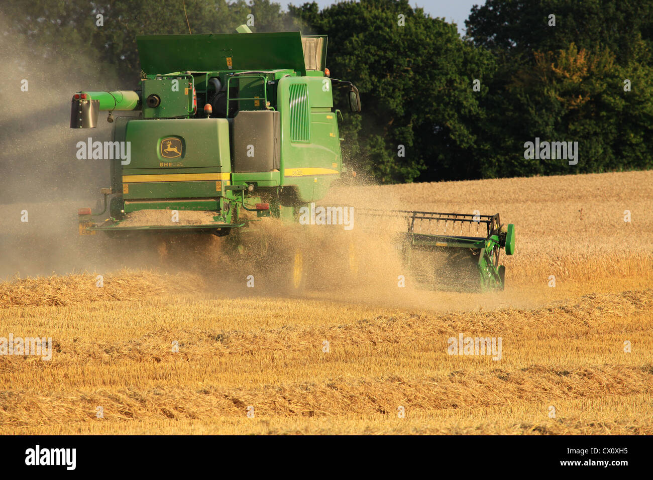Wheat field summer time hi-res stock photography and images - Alamy