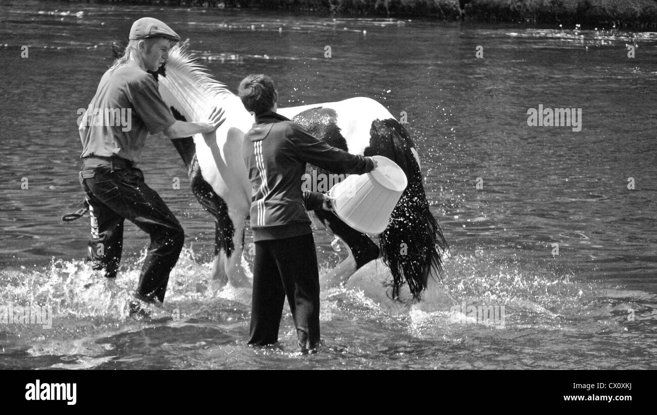 1 young man and a boy wash a horse at a gypsy horse fair in appleby, westmorland, north west england Stock Photo