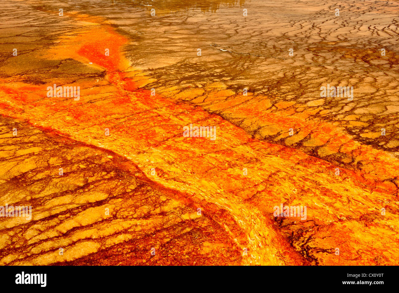 Thermophilic algae colonies near Grand Prismatic Spring, Yellowstone National Park, Wyoming, USA Stock Photo