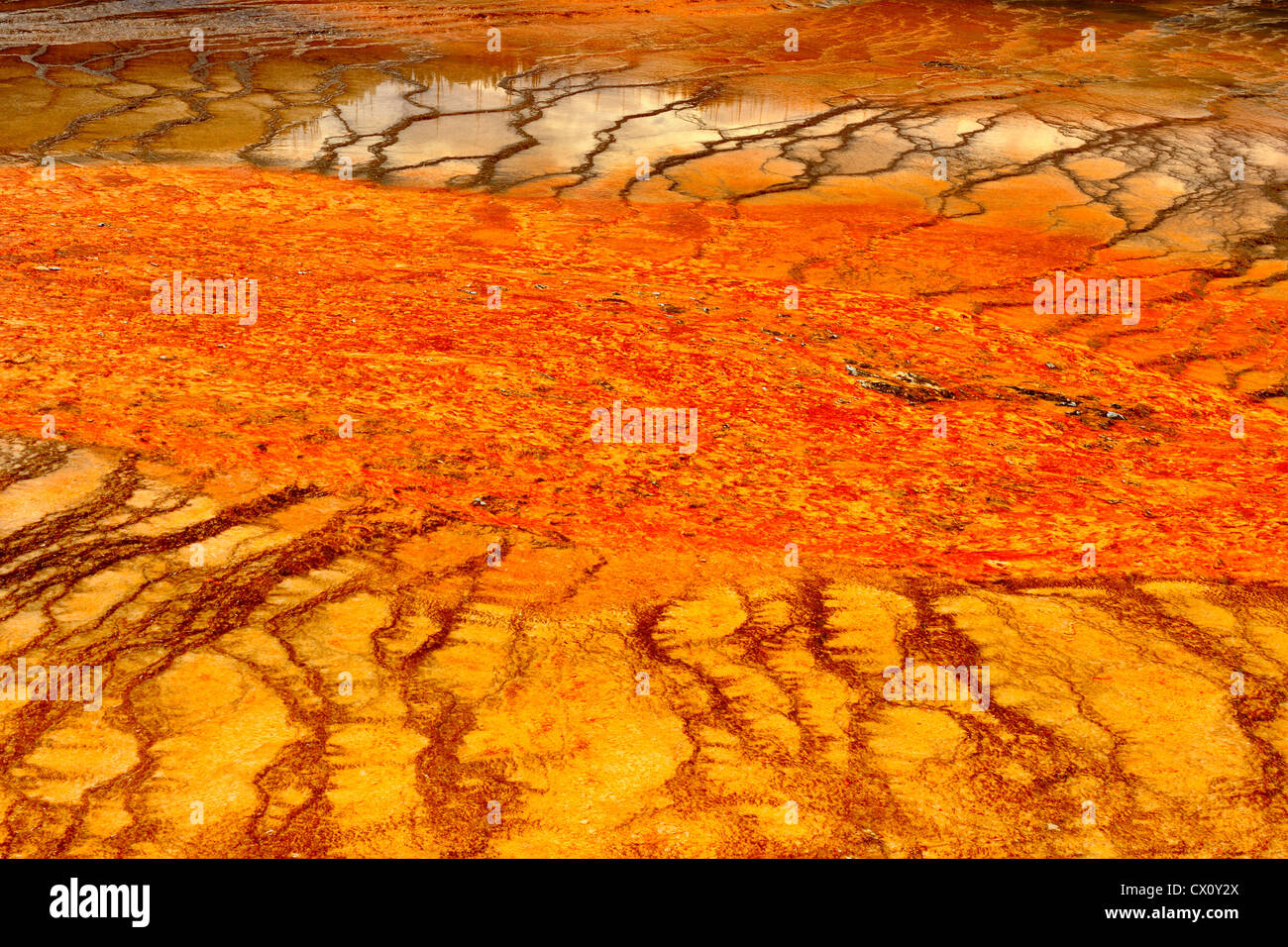 Thermophilic algae colonies near Grand Prismatic Spring, Yellowstone National Park, Wyoming, USA Stock Photo