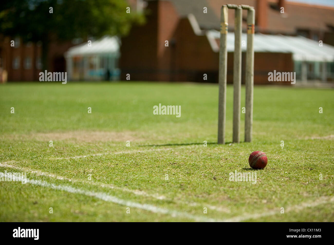 Cricket stumps and ball on grass pitch Stock Photo