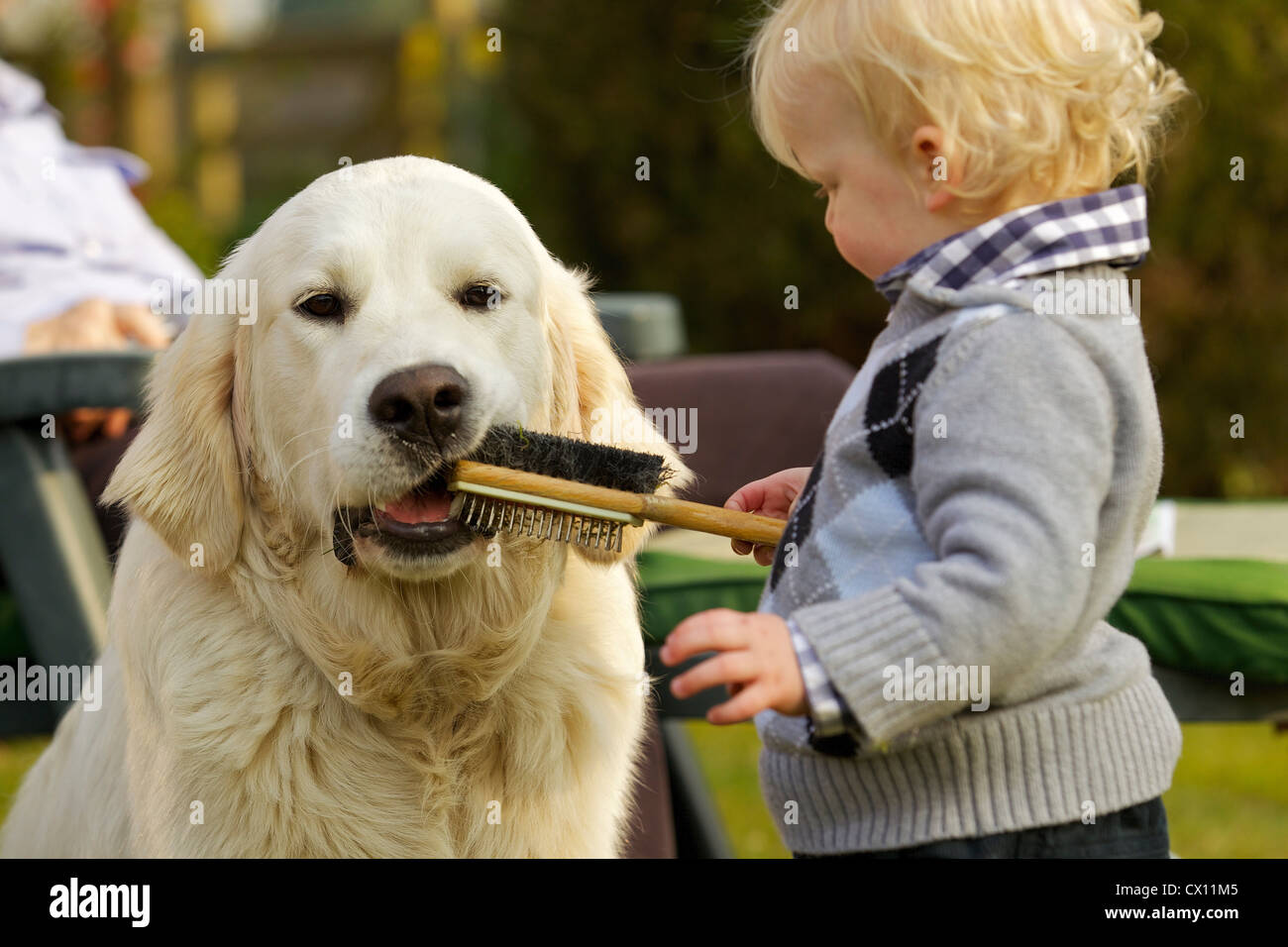 What Is A Good Brush For A Golden Retriever