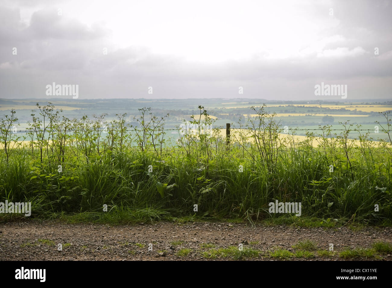 The Ridgeway Long Distance Path near Chiseldon, Wiltshire, UK Stock Photo