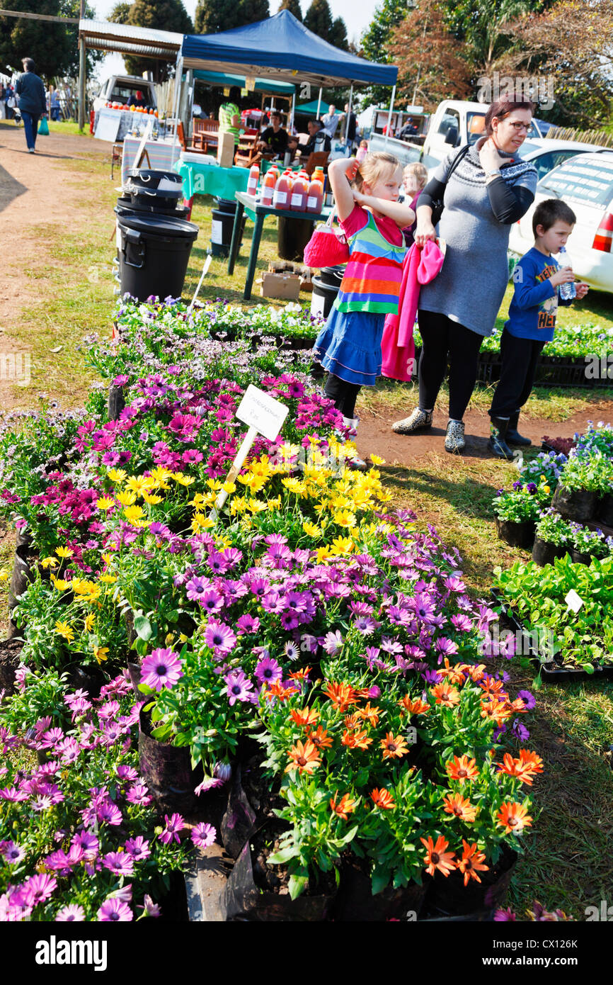 Flea market gardening hires stock photography and images Alamy