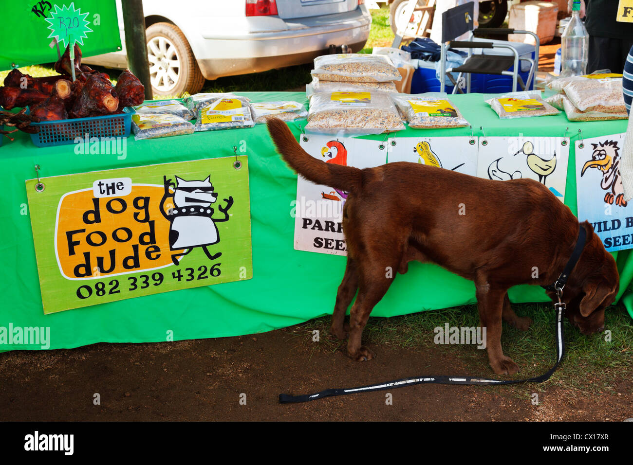 Chocolate Labradors at a local farmers market specialist dog food treat