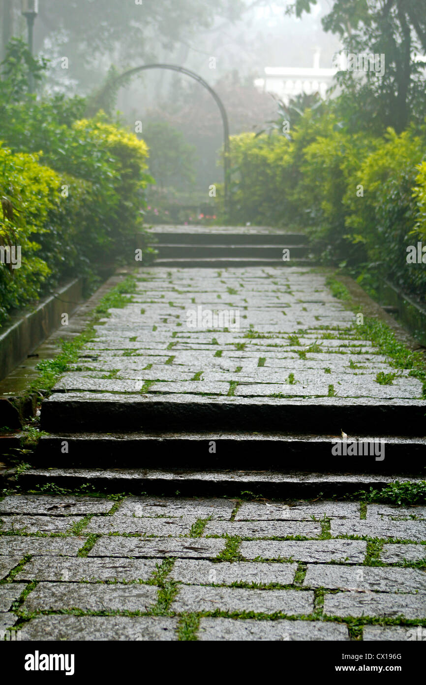 Empty, misty way Stock Photo - Alamy