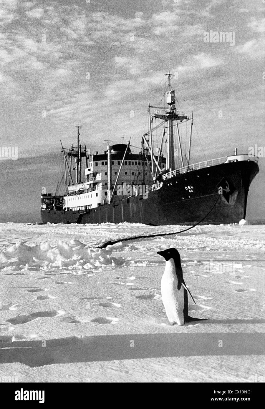 Soviet Antarctic Expedition High Resolution Stock Photography and