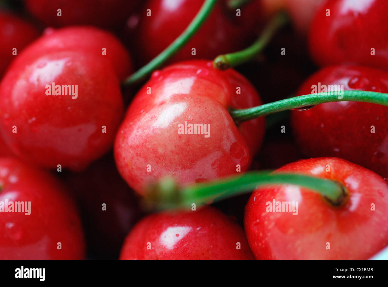 Fresh red dessert cherries Stock Photo