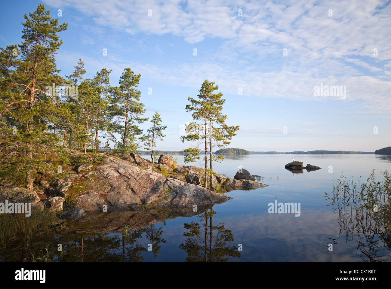 Coastal landscape, Saimaa lake, Karelia, Finland Stock Photo