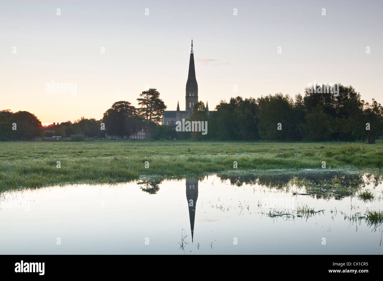 Looking across the west harnham water meadows towards Salisbury