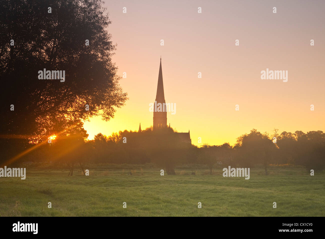 Looking across the west harnham water meadows towards Salisbury