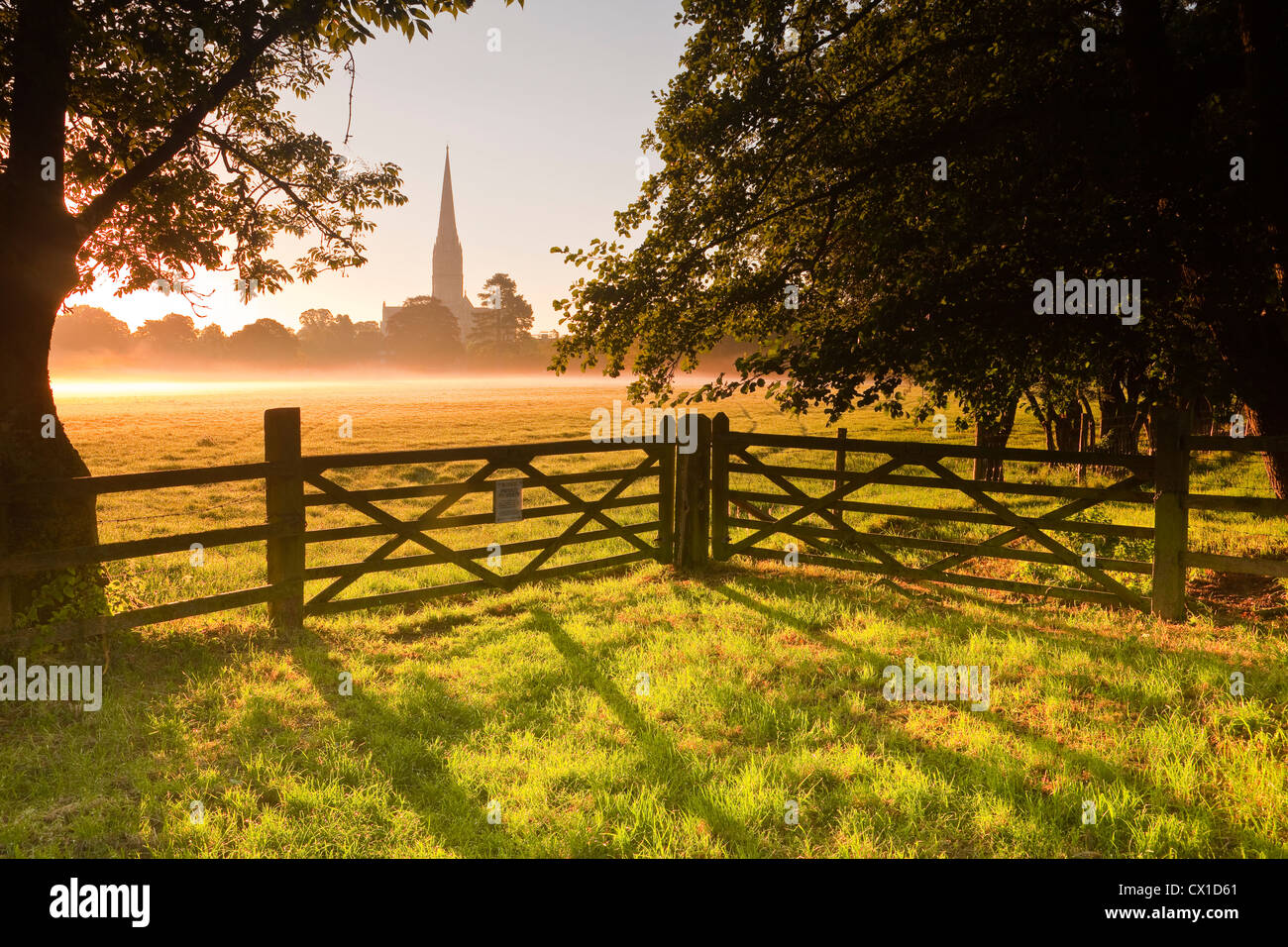 Looking across the west harnham water meadows towards Salisbury