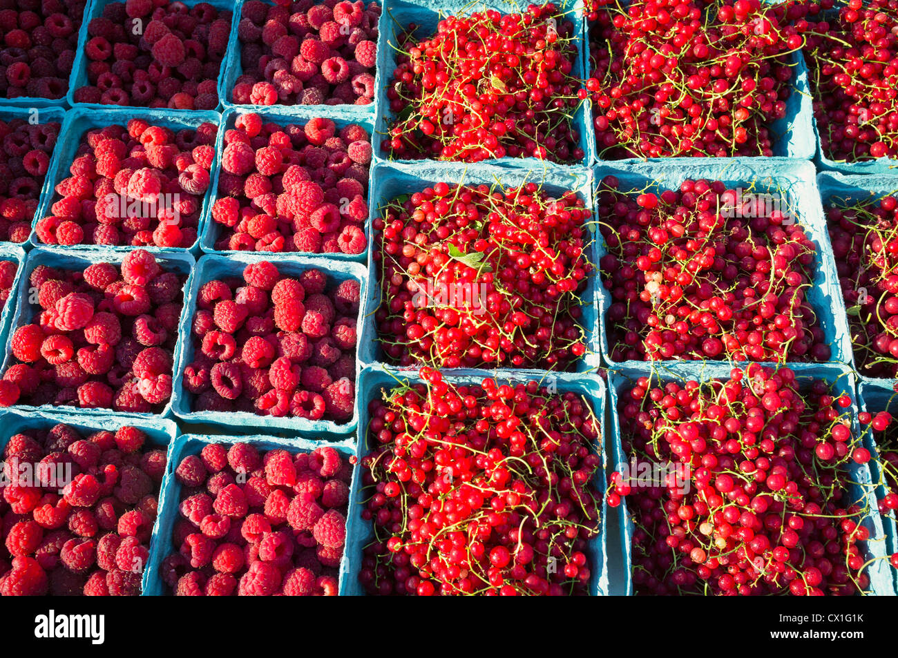 Red currants and raspberries hi-res stock photography and images - Alamy