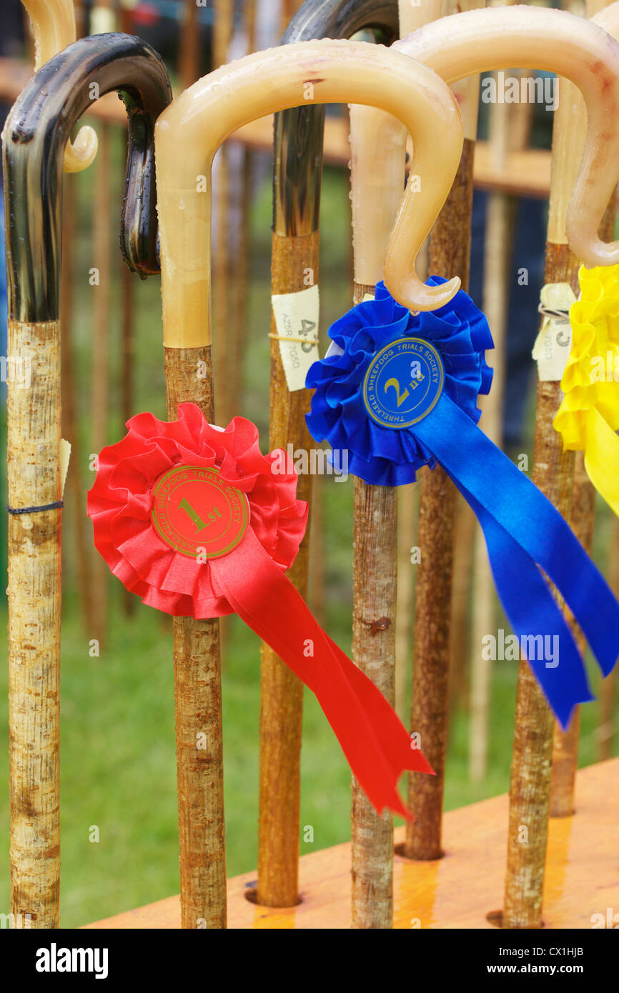 Red first, blue second and yellow third rosettes on walking sticks at ...