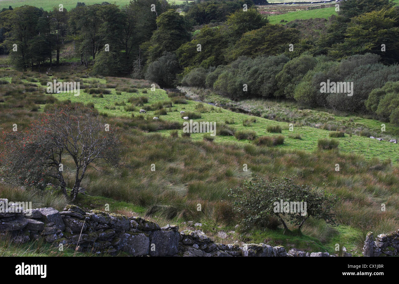 Dartmoor Vale at Two Bridges Stock Photo Alamy