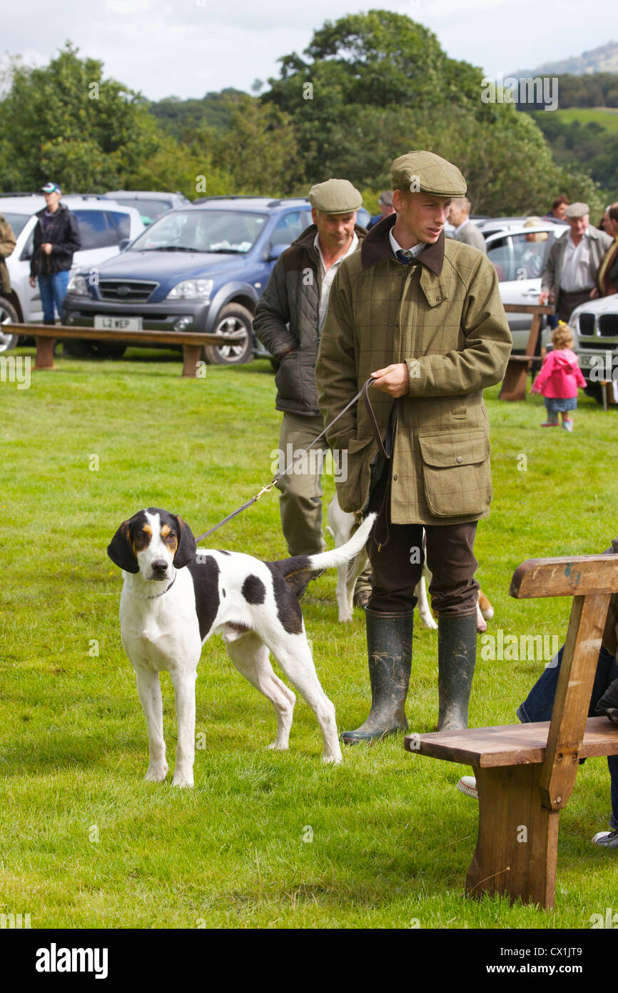 Fox Hound and man at Threlkeld Show, Threlkeld, Keswick, Lake District, Cumbria, England, UK Stock Photo