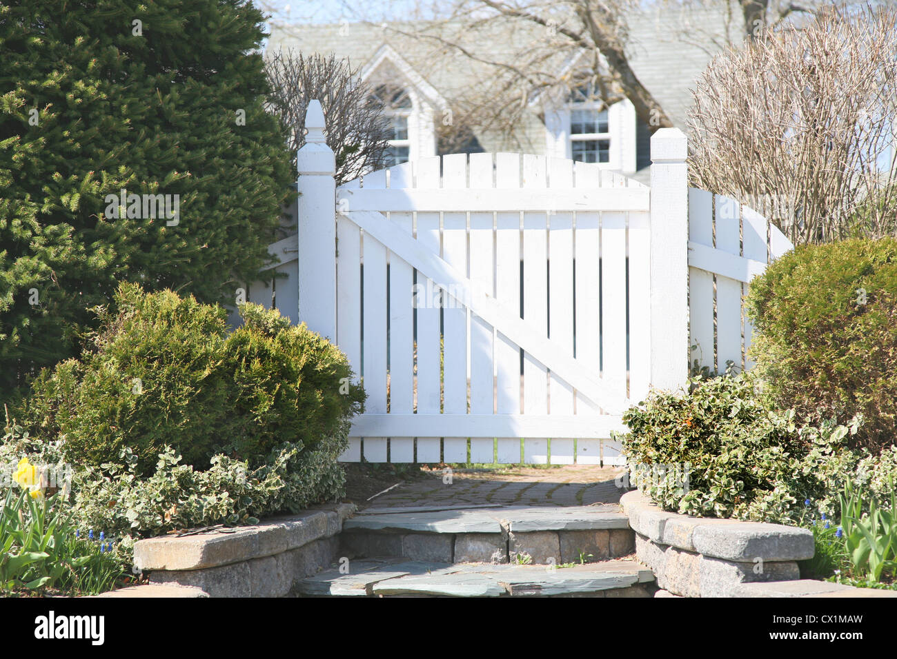 A garden gate in a residential spring garden. Stock Photo