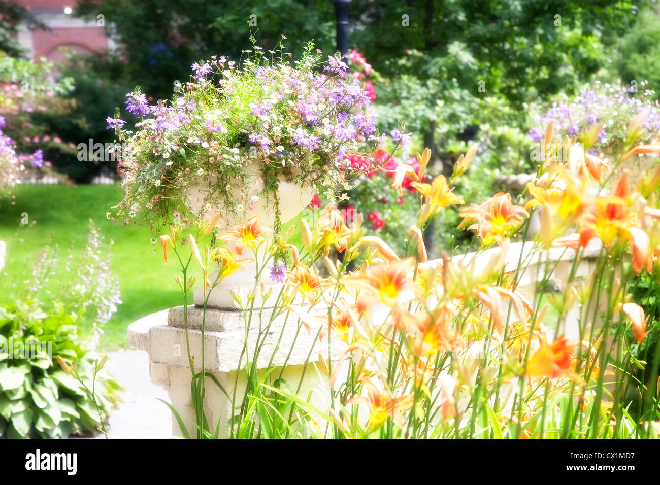 A soft glow envelopes a summer garden. Stock Photo