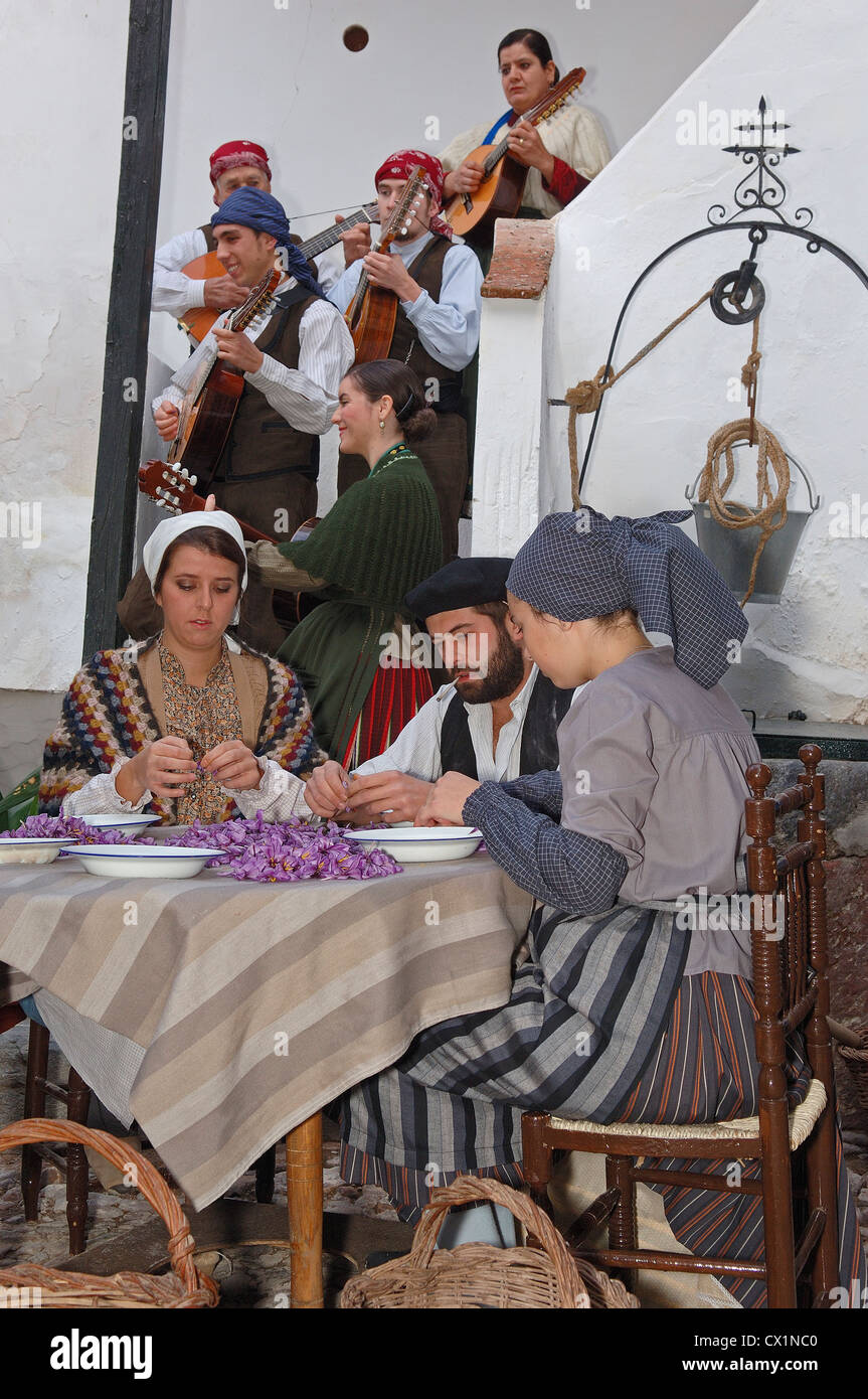 Consuegra, Extracting saffron flower stigmas, Saffron Rose festival
