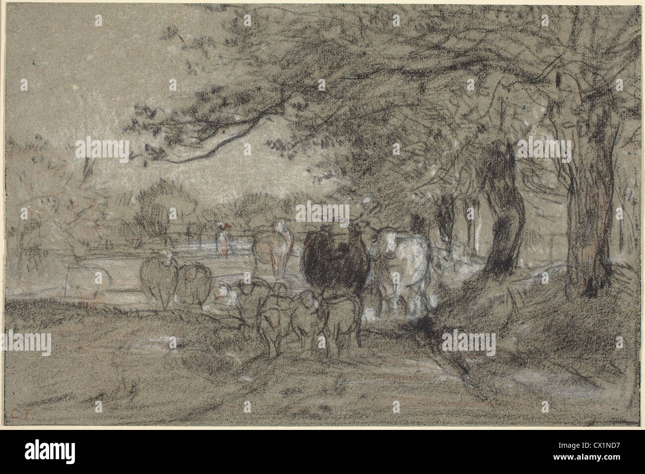 Constant Troyon (French, 1810 - 1865 ), Cows Under Trees, charcoal, with white and orange chalk on blue-gray laid paper Stock Photo