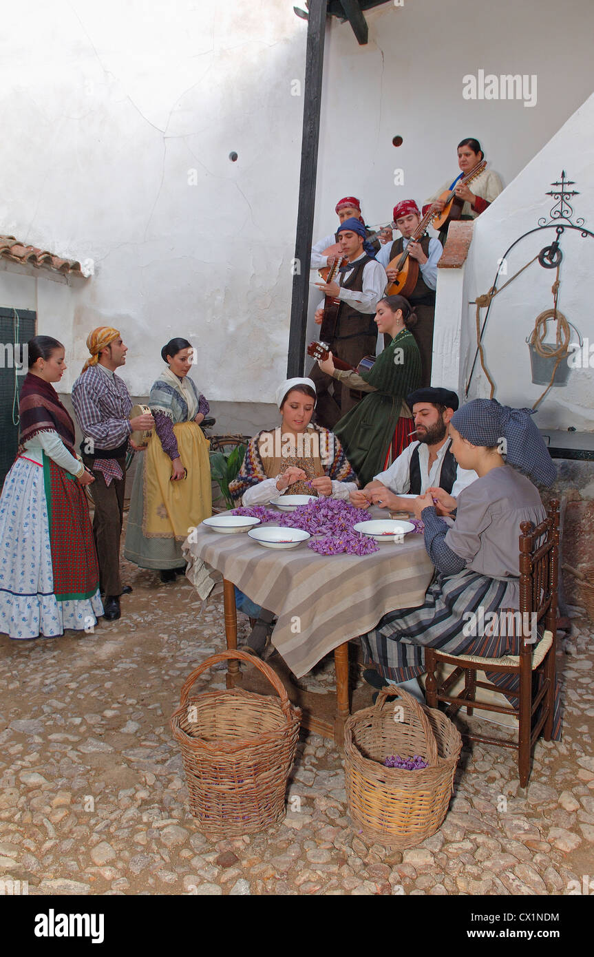 Consuegra, Extracting saffron flower stigmas, Saffron Rose festival