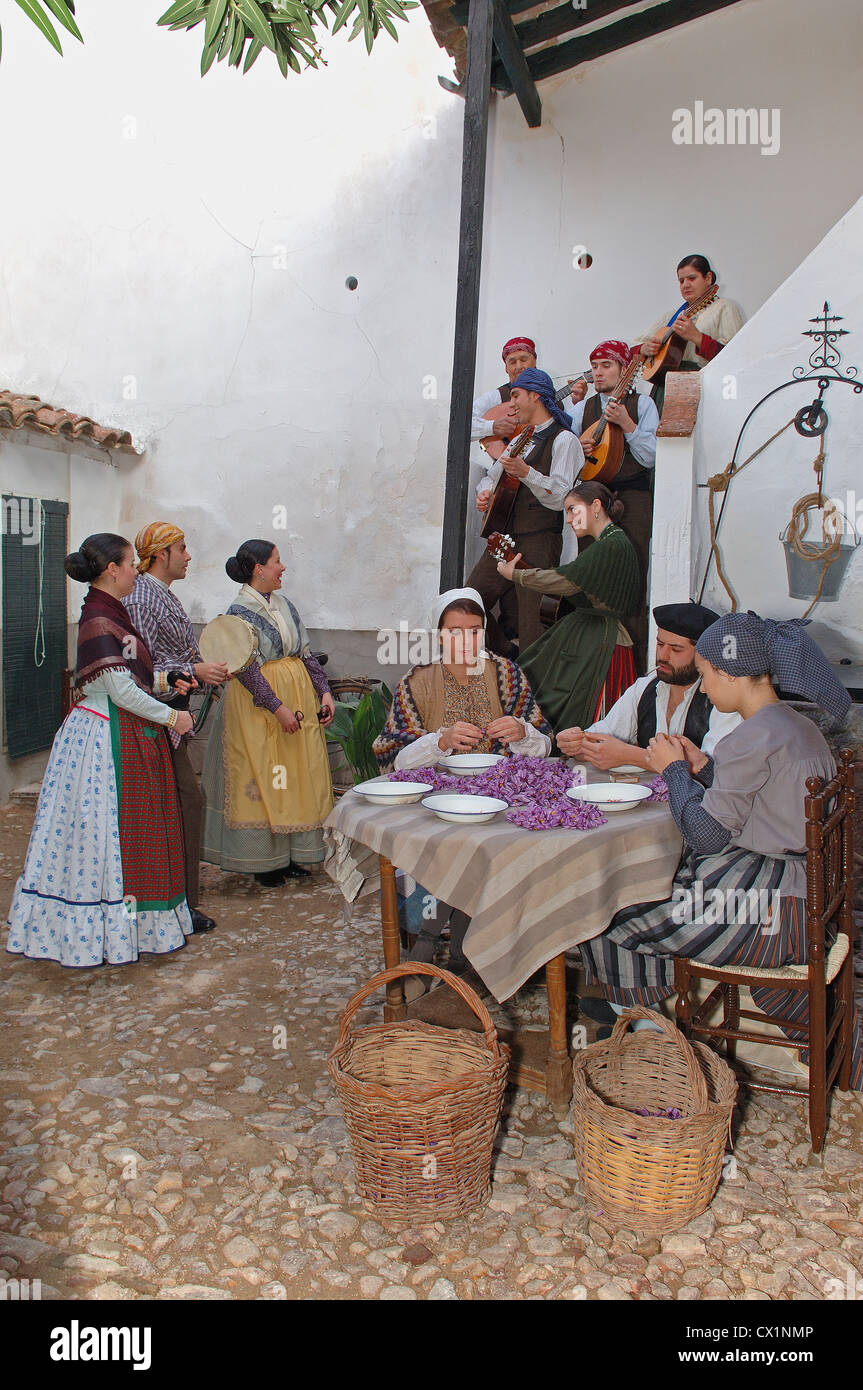 Consuegra, Extracting saffron flower stigmas, Saffron Rose festival