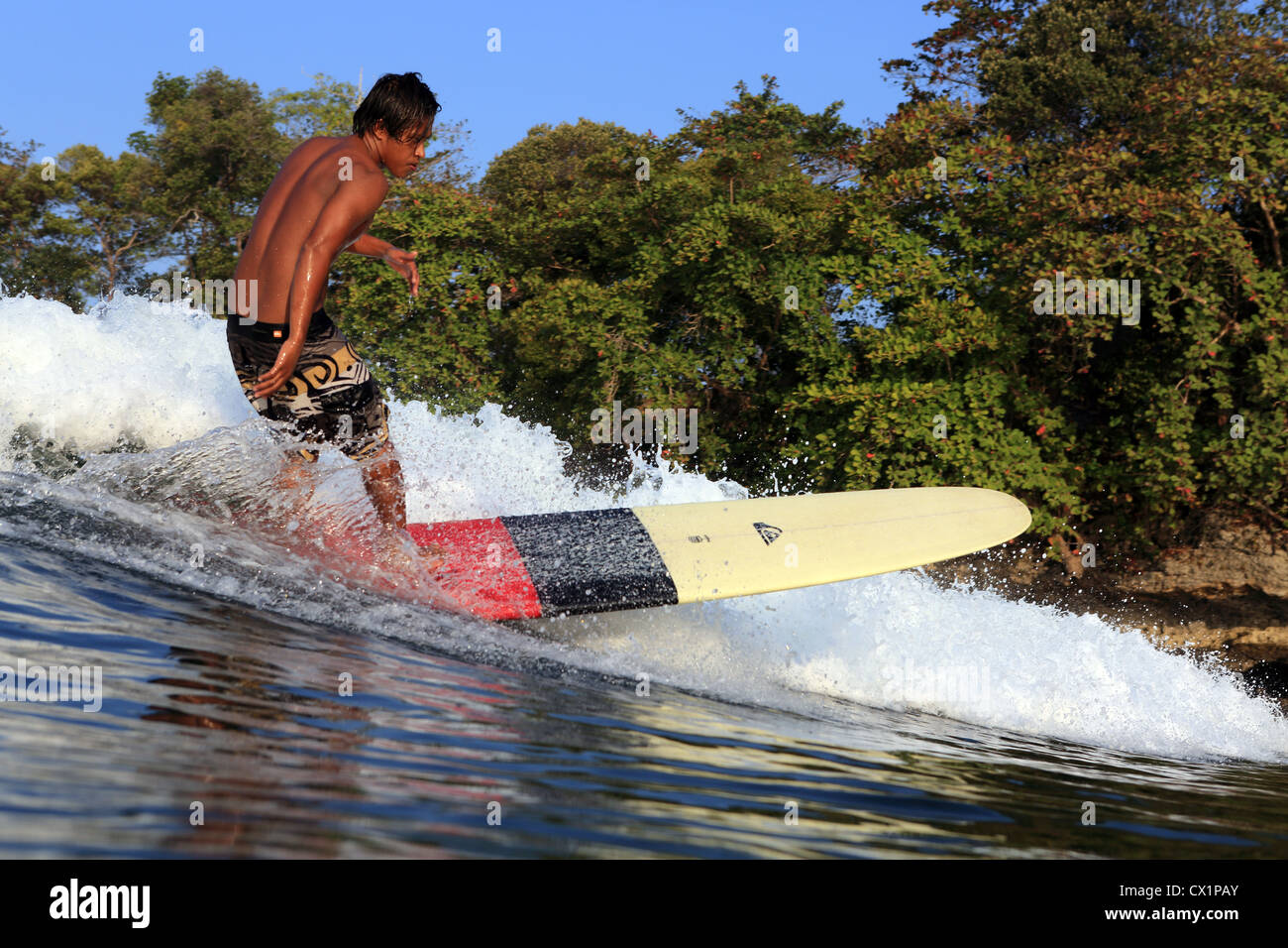 Local surfer surfing the point break wave on a longboard at Batu Karas in West Java Stock Photo