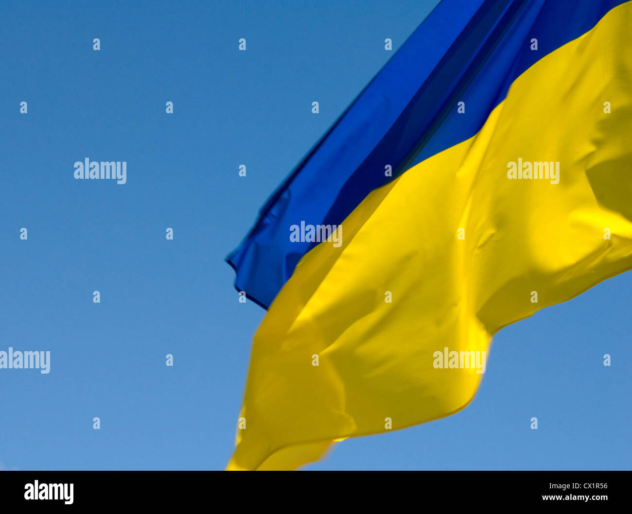 Ukrainian flag Stock Photo
