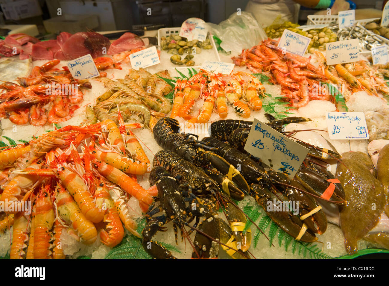 Shellfish for sale on fishmongers stall in Mercat St Josep La Boqueria