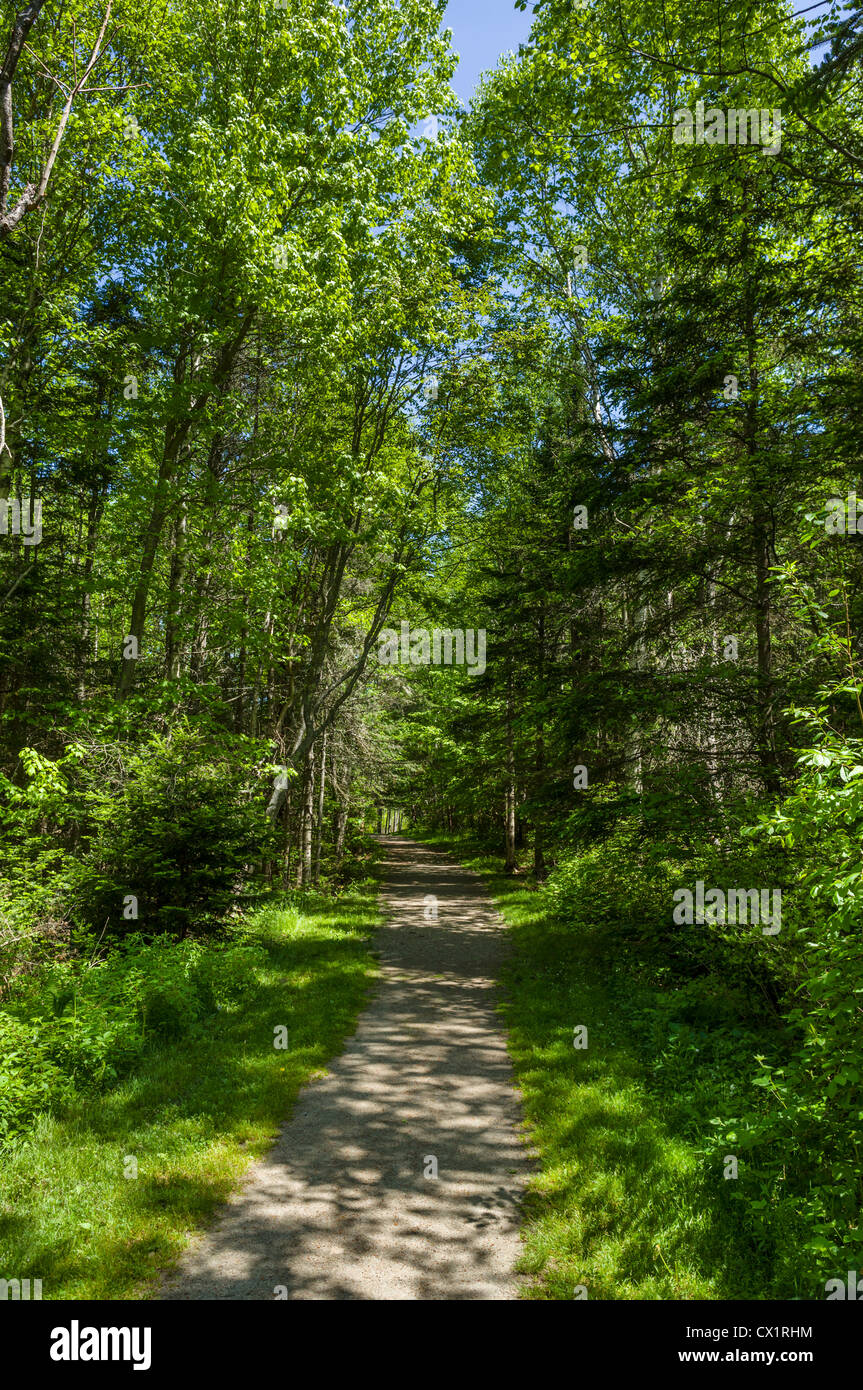 Walking trail in Owl's Head Light State Park on St George Peninsula, Knox County, Maine, USA Stock Photo