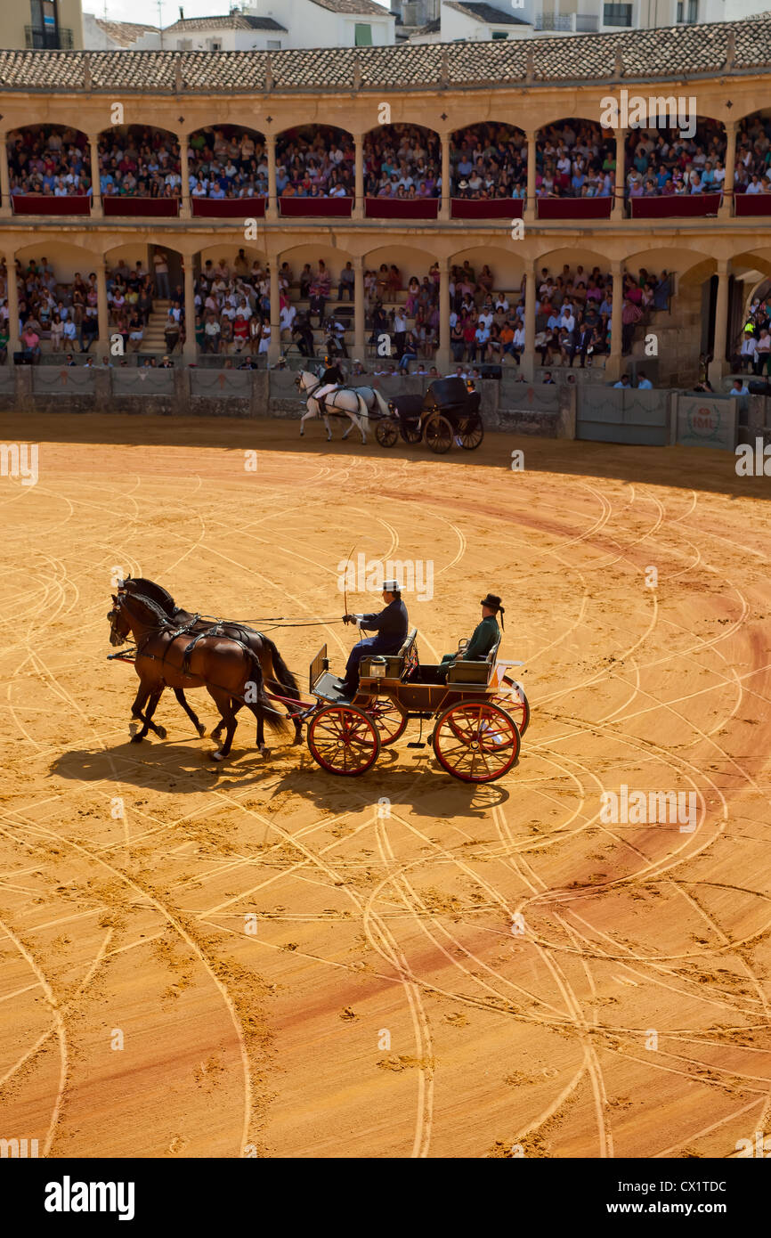 Carriages in the Plaza de Toros Ronda Stock Photo