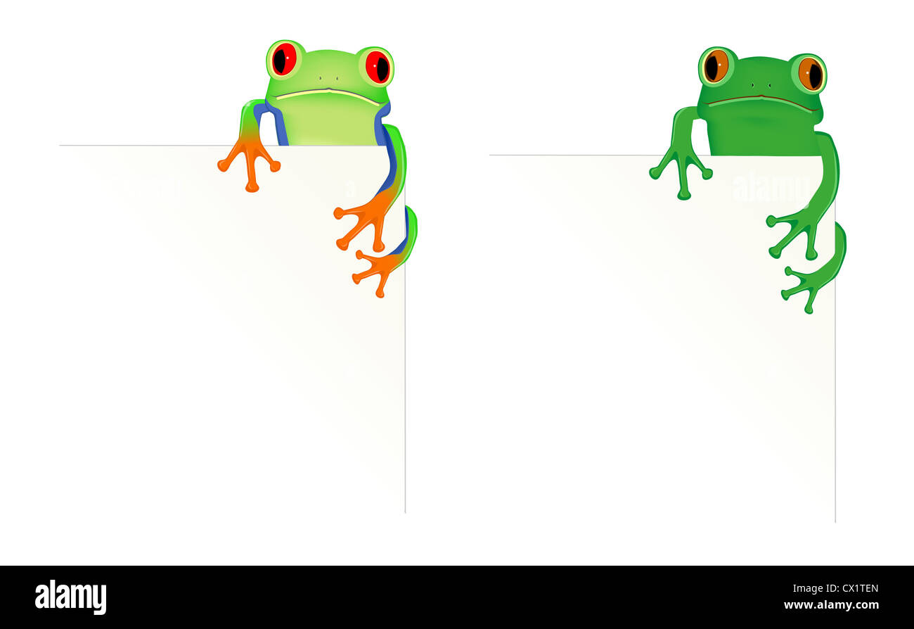 2 frogs in corner of page Stock Photo