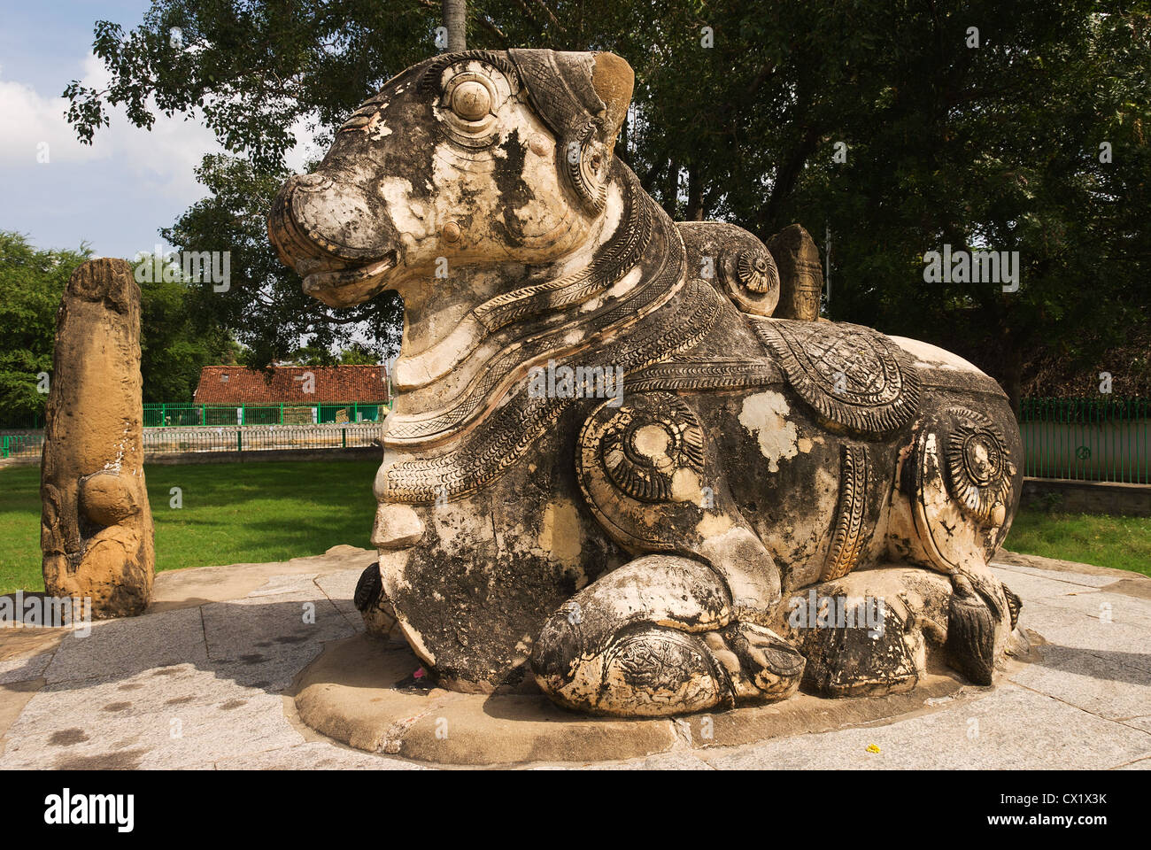Elk201-4095 India, Tamil Nadu, Kanchipuram, Kailasanatha Temple, Nandi statue Stock Photo
