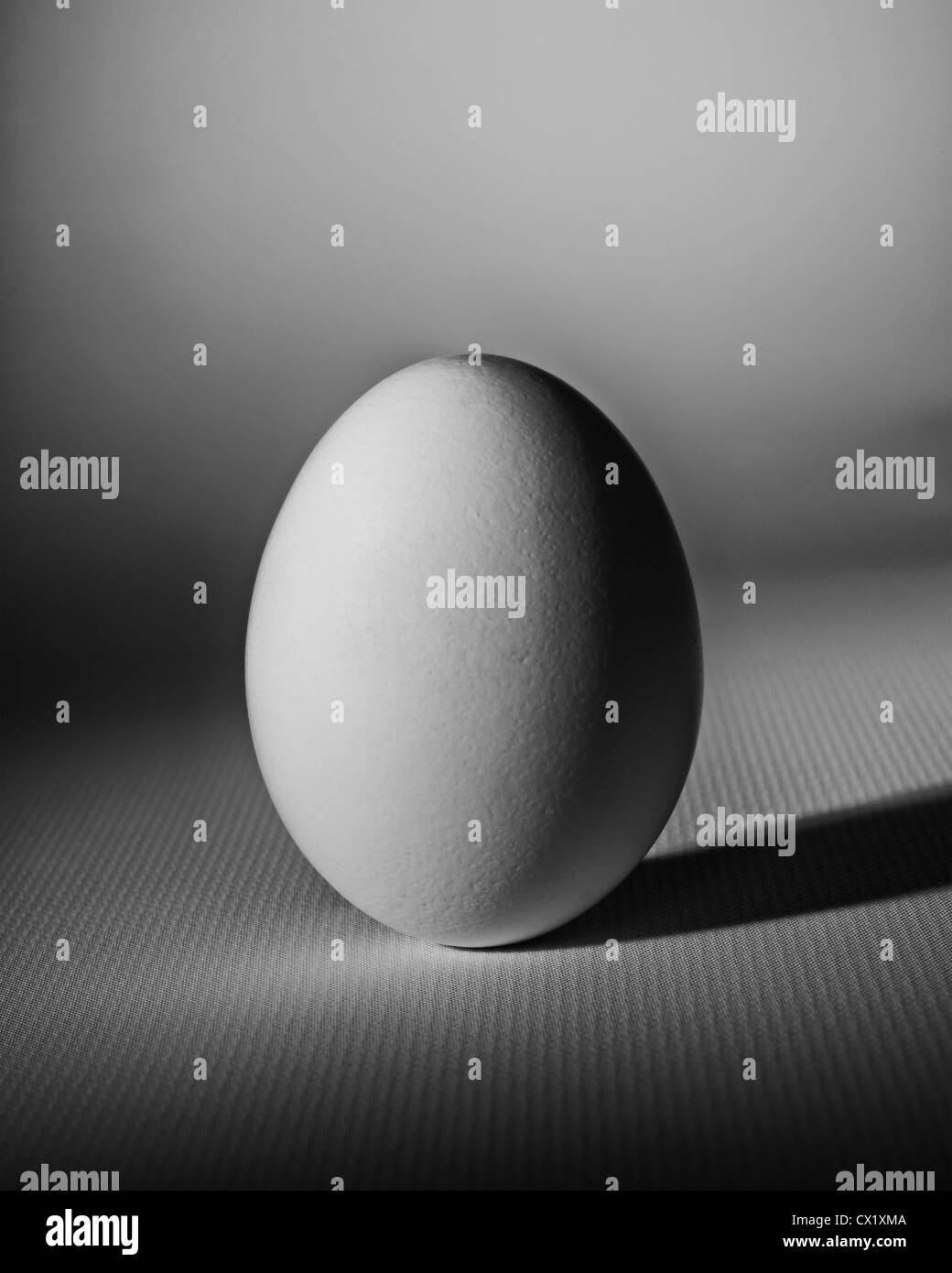 Simplicity - a white egg photographs on a white textured surface. Stock Photo